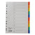 Deluxe Divider Plastic Colored A4, with numbers 1-10