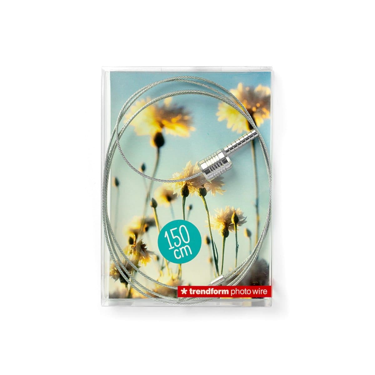 Trendform Photo Wire STEELY DAN, 150cm with 8 Magnets