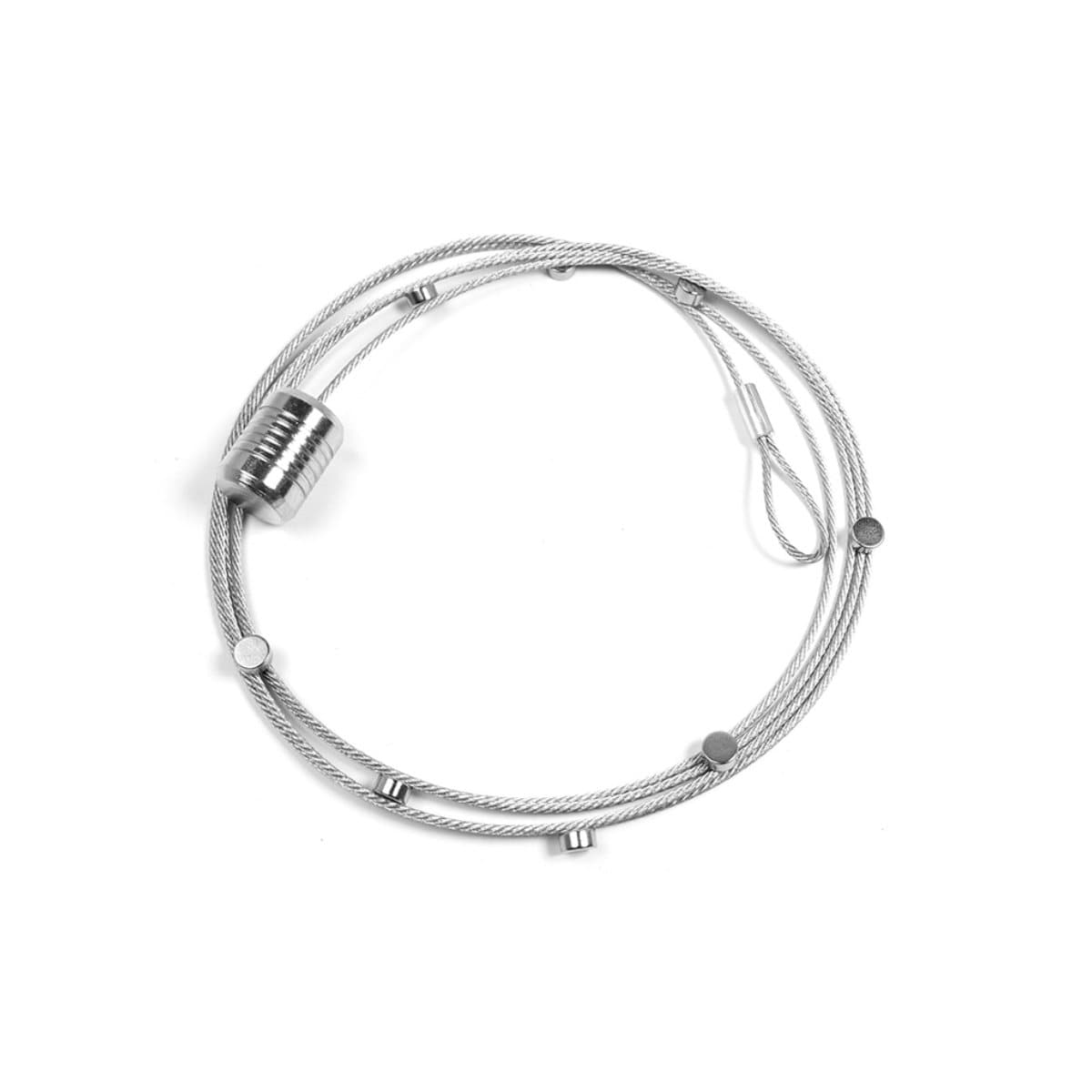 Trendform Photo Wire STEELY DAN, 150cm with 8 Magnets