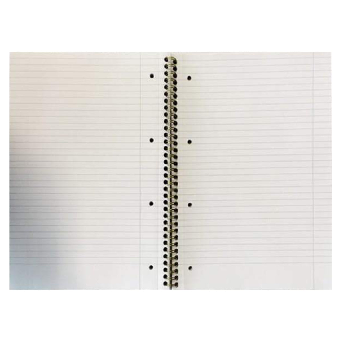 Pukka Pad Jotta Wirebound A4, line ruled, 80gsm, 200sheets/pad, Assorted Colors