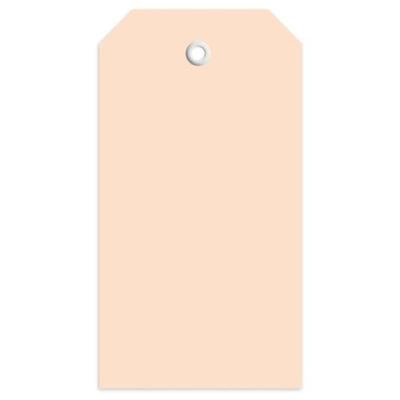 Herma Merchandise Tags with plastic eyelet, 60 x 113 mm, Brown