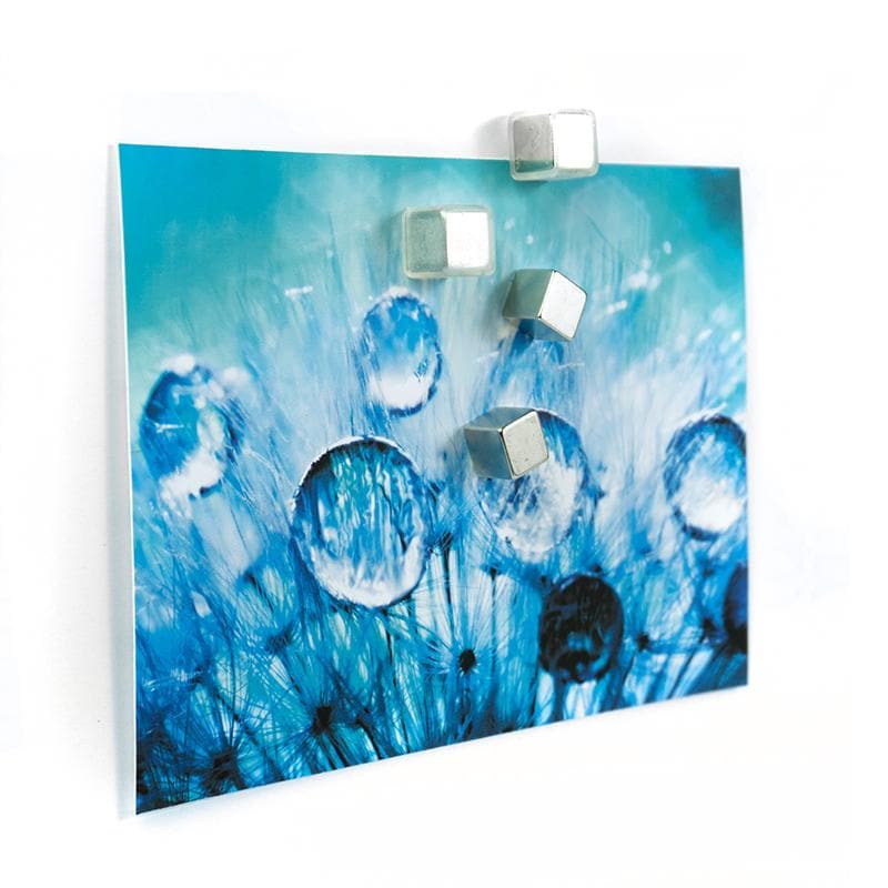 Trendform Super Strong Magnets CUBE, 4/pack