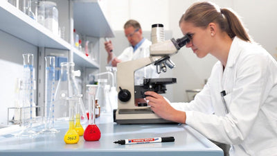 edding 8014 Laboratory Marker, 1mm Bullet Tip, Black