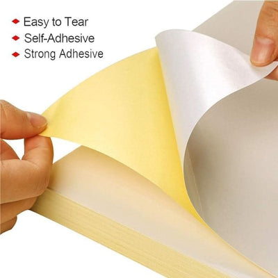 xel-lent 1 label/sheet, straight corners, A4 210 x 297 mm, 100 sheets/pack, White