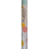 Clairefontaine Gift Wrapping Paper FANTASY, 70cm  x 2m, Assorted Colors