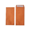 Color Envelope 8 x 16.5cm 6/pack, Assorted Color