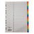 Deluxe Divider Plastic Colored A4, with numbers 1-20