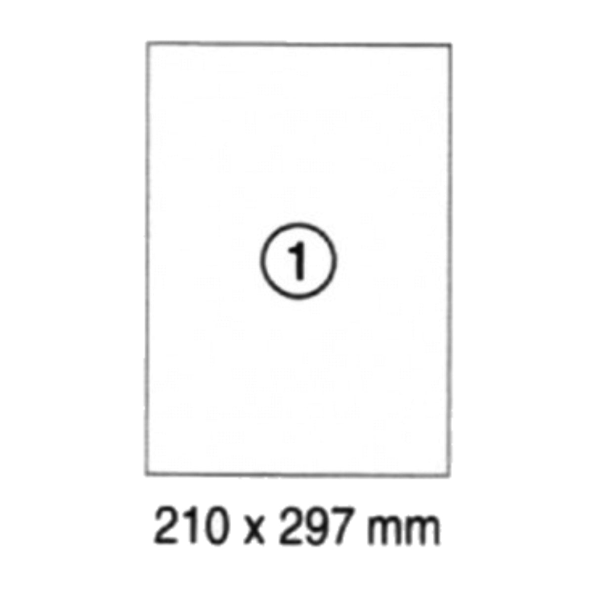 xel-lent 1 label/sheet, straight corners, A4 210 x 297 mm, 100 sheets/pack, White