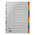 Deluxe Divider Plastic Colored A4, 12 Tabs