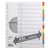 Pagna Divider Manila Colored XXL, 245 x 300 mm, 12 Tabs