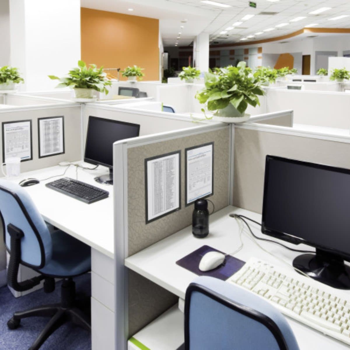 Durable DURAFRAME Grip, Magnetic Frame with Velcro Fastener A4, 2/pack, Black