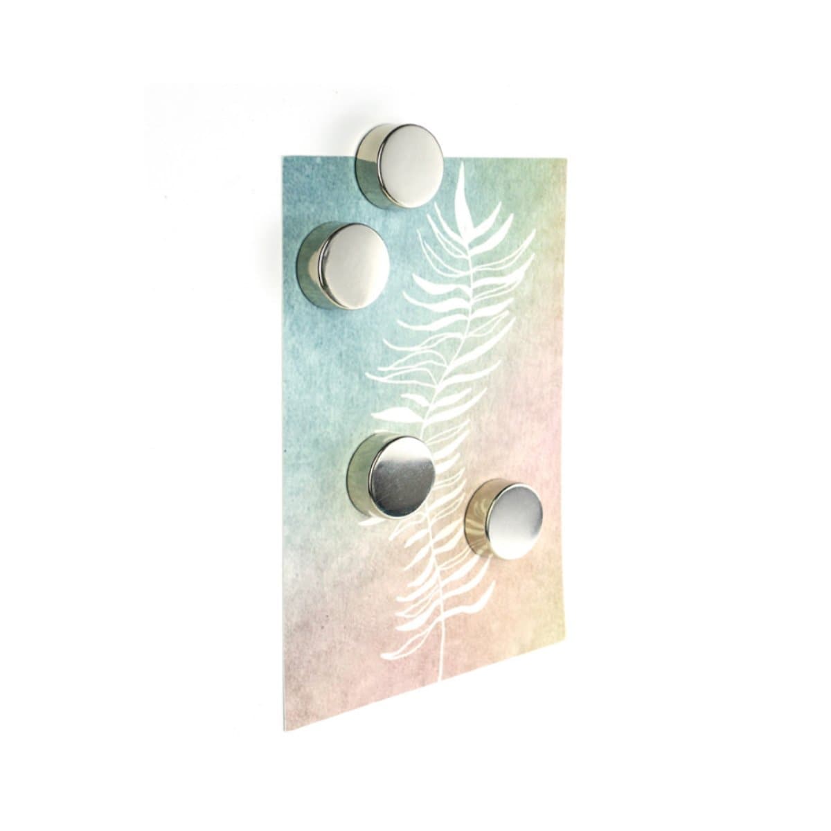 Trendform Super Strong Magnet SILVER, 23mm, 4/pack, Silver