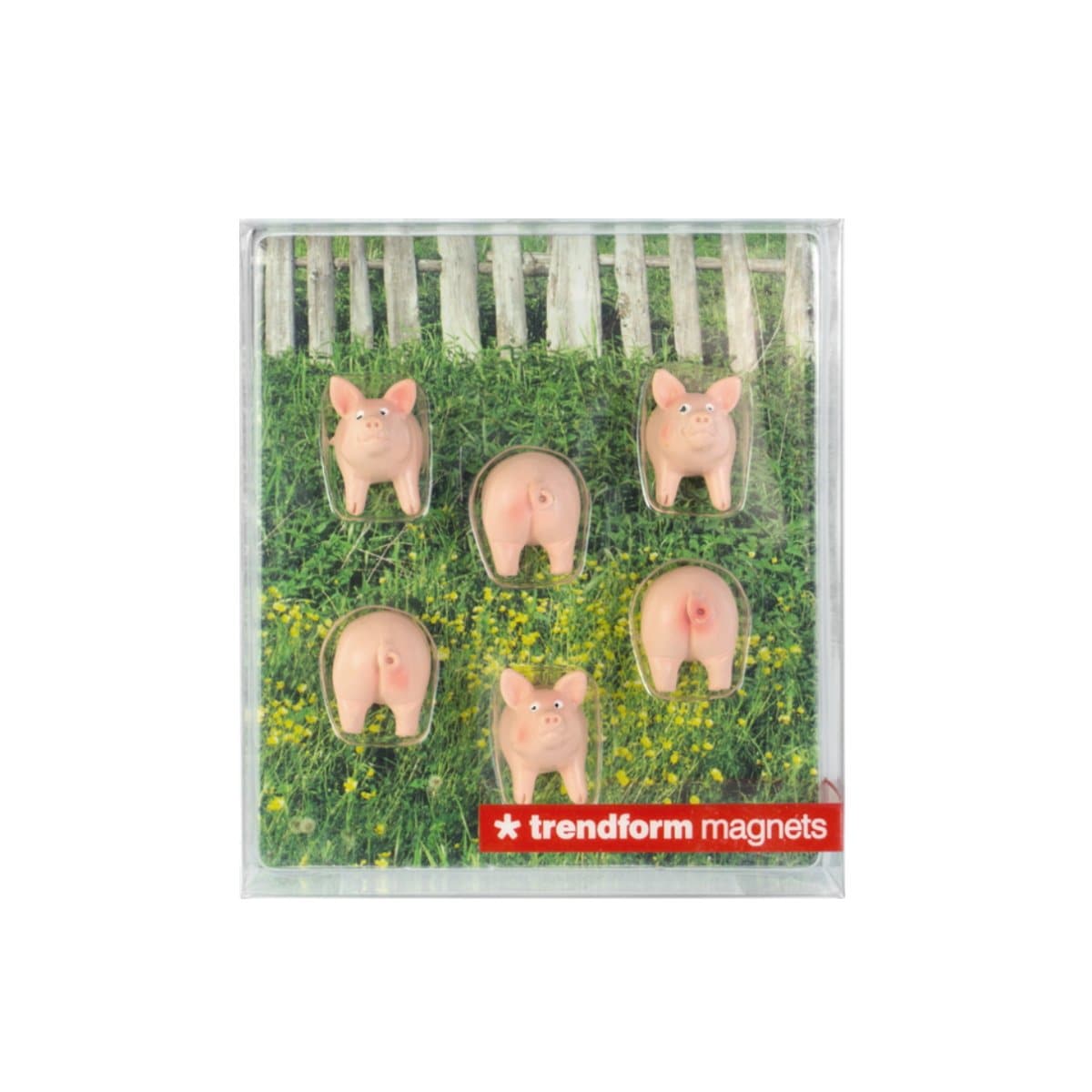 Trendform Magnets PIGGY, Set of 6, Pink