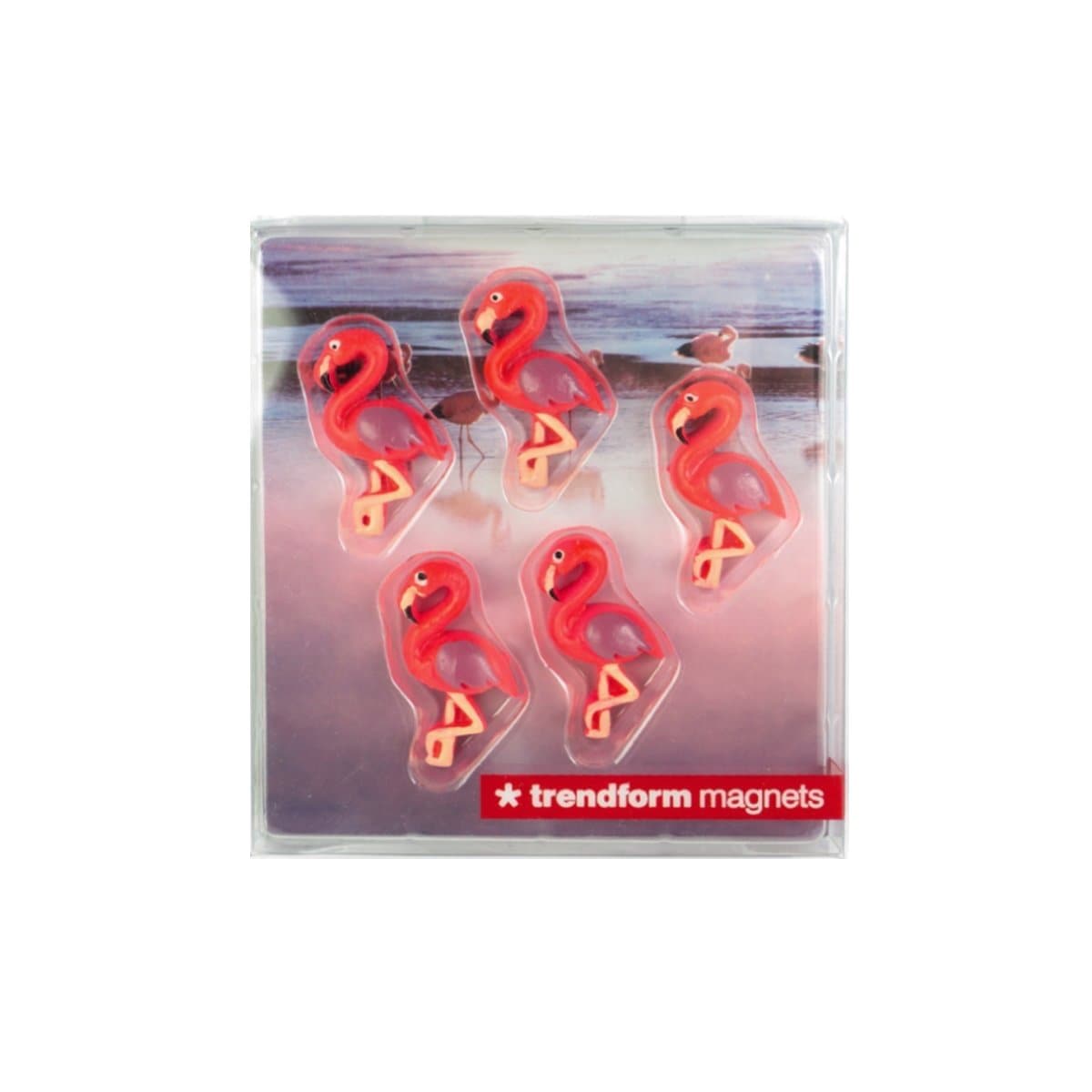Trendform Magnets FLAMINGO, 5/pack, Pink