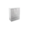 Paper Gift Bag, White