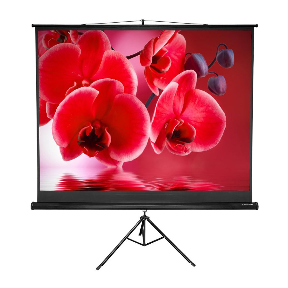 Anchor Tripod Projector Screens