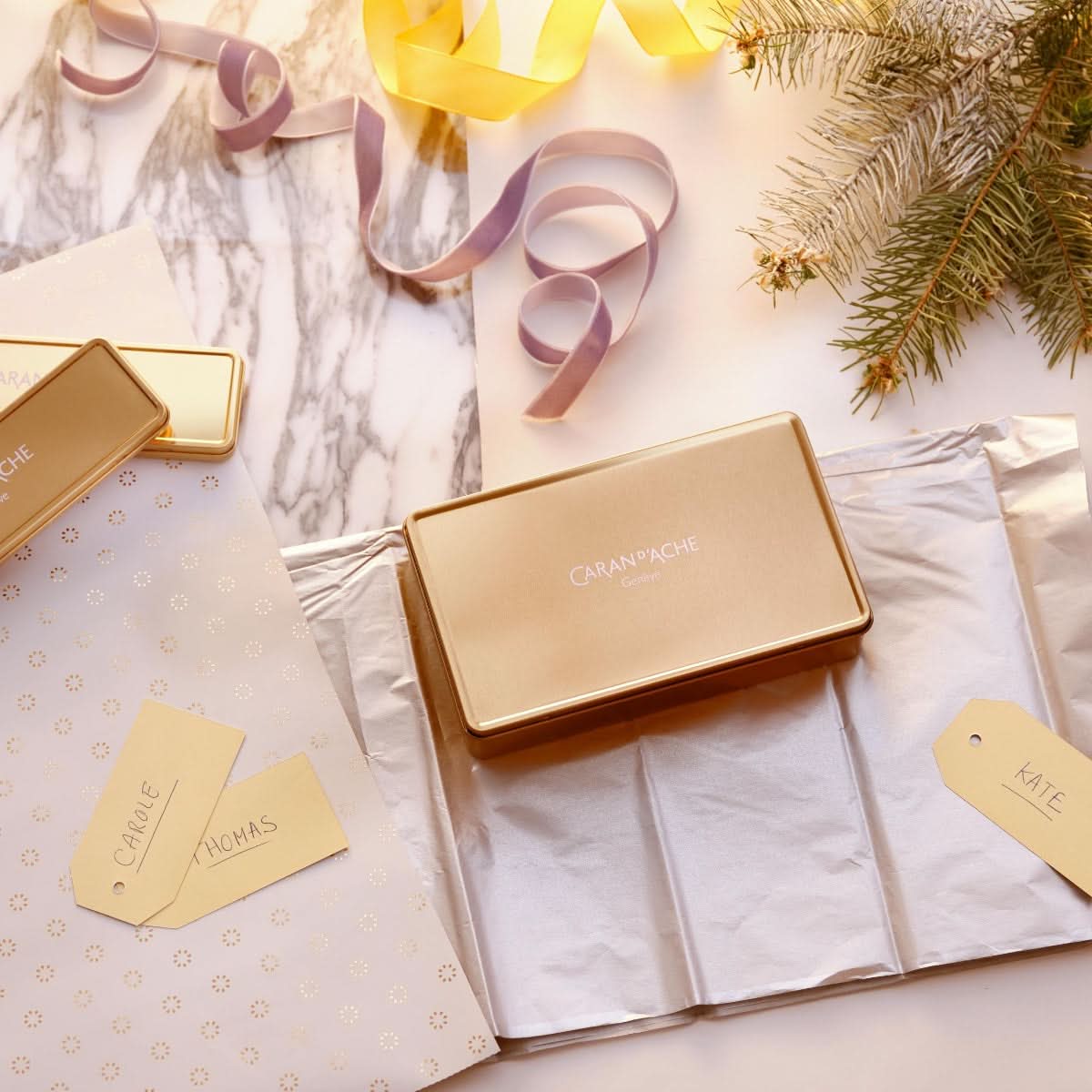 CARAN d'ACHE ECRIDOR SUNLIGHT Gift Set, Ballpoint Pen & Leather Case - Limited Edition