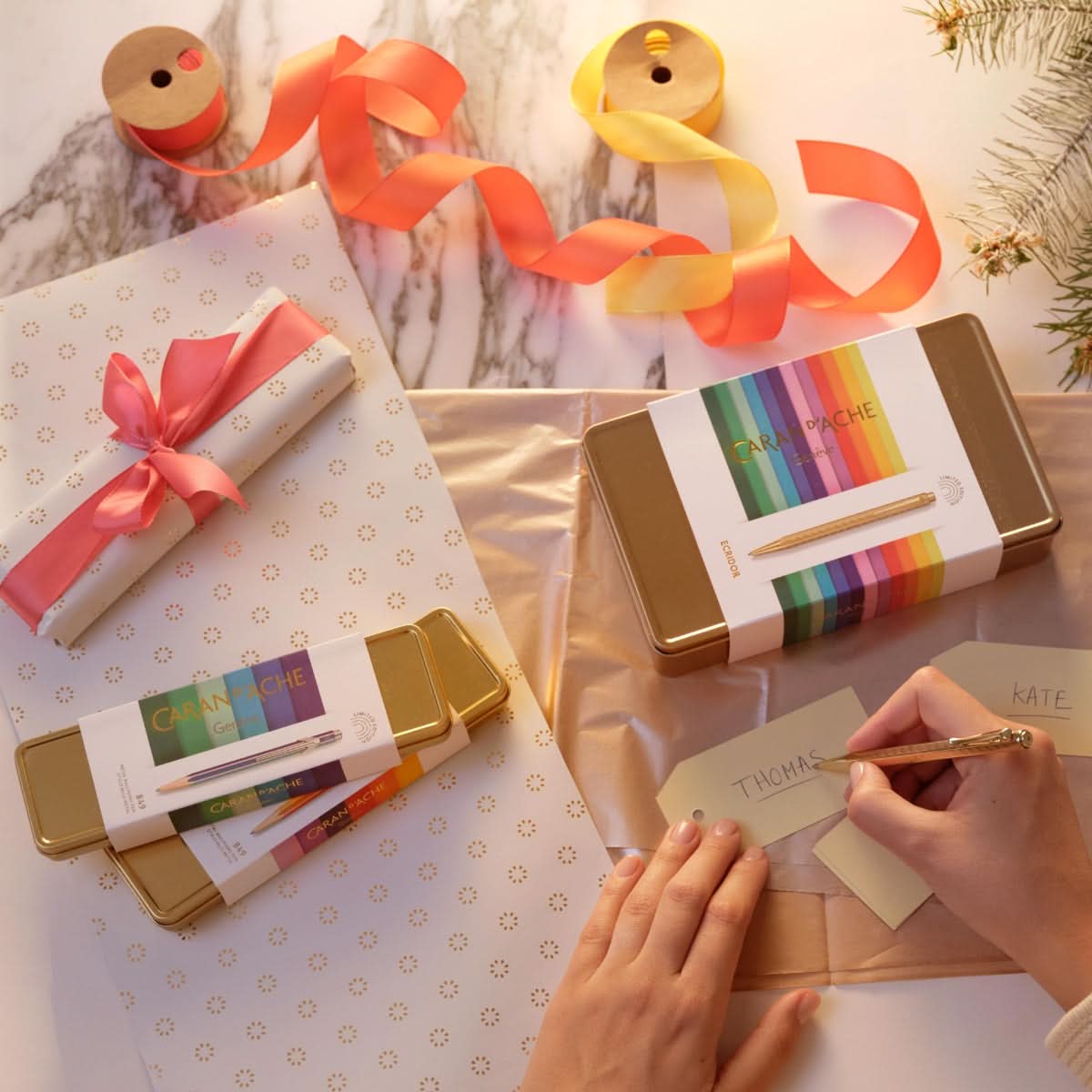 CARAN d'ACHE ECRIDOR SUNLIGHT Gift Set, Ballpoint Pen & Leather Case - Limited Edition