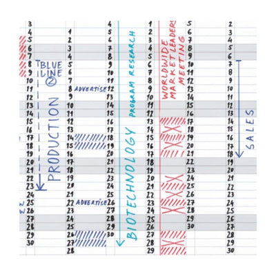 Bi-Office Magnetic Yearly Planner , 60x90cm