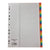 Deluxe Divider Plastic Colored A4, with numbers 1-31