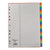 Deluxe Divider Plastic Colored A4, 31 Tabs